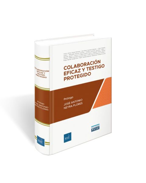 Colaboración Eficaz y Testigo Protegido, José Antonio Neyra Flores, Instituto Pacífico