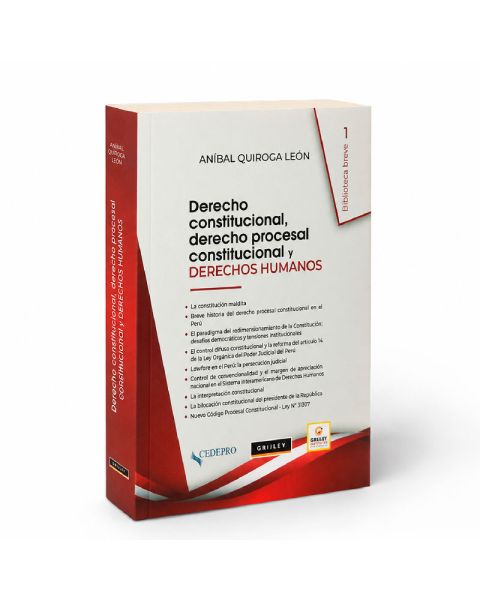 Derecho Constitucional, Derecho Procesal Constitucional y Derechos Humanos, Aníbal Quiroga León