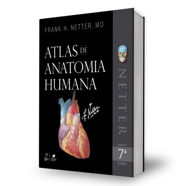 Netter flashcards de neurociencia 3ra edici n