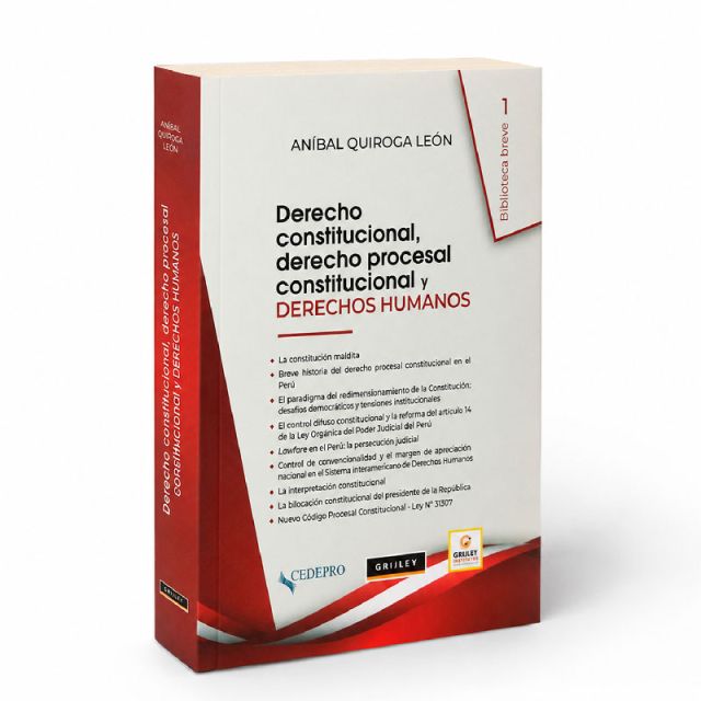 Derecho Constitucional, Derecho Procesal Constitucional y Derechos Humanos, Aníbal Quiroga León