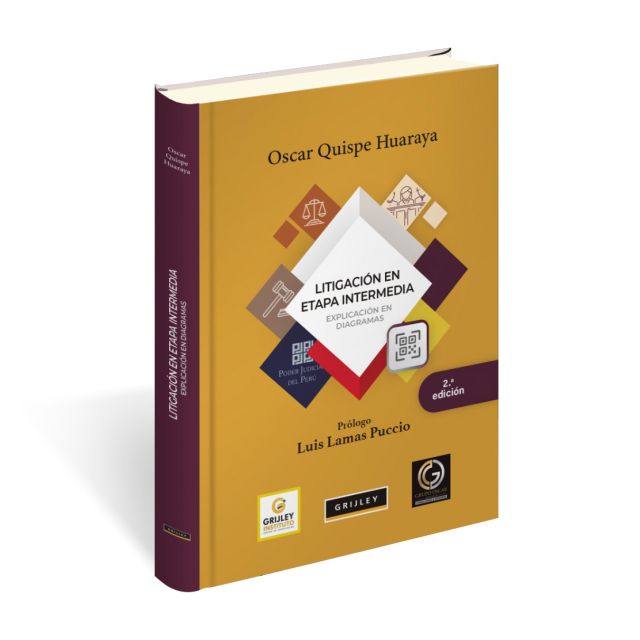 Litigación en Etapa Intermedia Explicación en Diagramas, Fábio P. Shecaira, Noel Struchiner, Grijley