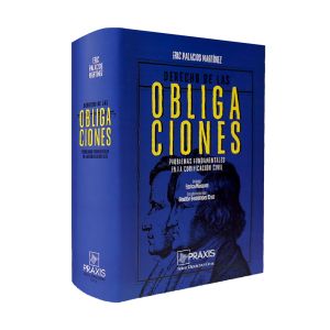 Libro Derecho de las Obligaciones - Problemas Fundamentales en su Codificación. Autor: Eric Palacios Martínez. Domina el Derecho de Obligaciones con este tratado esencial que analiza problemas clave de la codificación civil y ofrece soluciones prácticas.