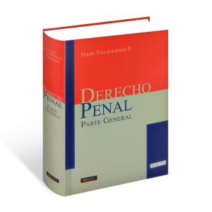 Derecho Penal Parte General Felipe Villavicencio Terreros | Libro