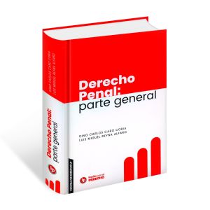 libro derecho penal parte general lp derecho