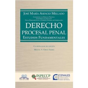 libro Derecho Procesal Penal  | José María Asencio Mellado
