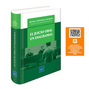 El Juicio Oral en Diagramas, Benji Espinoza Ramos, juicio oral, diagramas, litigación oral, proceso penal, mapas conceptuales, derecho penal, esquemas judiciales, Instituto Pacífico