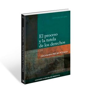 El Proceso y la Tutela de los Derechos