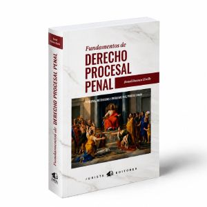Fundamentos de Derecho Procesal Penal -
Principios, instituciones y problemas en el proceso común, Ronal Hancco Lloclle