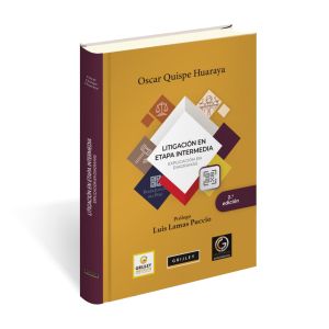 Litigación en Etapa Intermedia Explicación en Diagramas, Fábio P. Shecaira, Noel Struchiner, Grijley