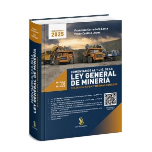 Comentarios al T.U.O. de la ley General de Minería D.S. N° 014-92-EM y Normas Conexas, Artículo Por Artículo, Francisco Carruitero Lecca, Fredy Castillo Luque