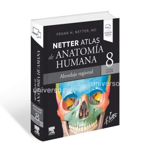 Netter Atlas de Anatomía Humana Abordaje Regional | Octava Edición