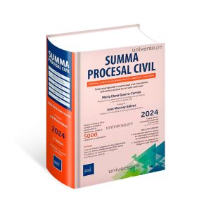 Summa Procesal Civil 2024