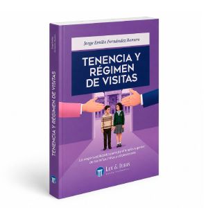 Tenencia y Régimen de Visitas - 
La Responsabilidad Parental y el Interés Superior de Niños, Niñas y Adolescentes, Jorge E. Fernández Romero