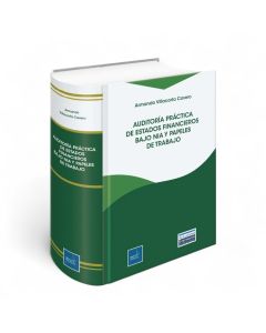 Auditoría Práctica de Estados Financieros bajo NIA y Papeles de Trabajo, Armando Villacorta Cavero, Instituto Pacífico