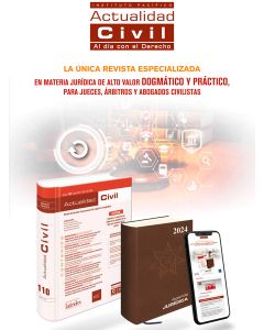 Actualidad Civil 2024