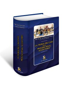 La Teoría del Caso en el Proceso Penal Acusatorio 