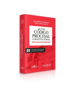 Libro Nuevo Código Procesal Constitucional Explicado en Diagramas, Comentarios, Videos Tutoriales Y Jurisprudencia Actualizada, Mag. Alexander Rioja Bermúdez, Mag. Miguel Arce Gallegos 